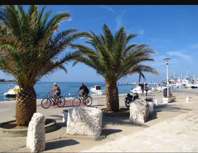 Novalja Beach Apartment Εξωτερικό φωτογραφία